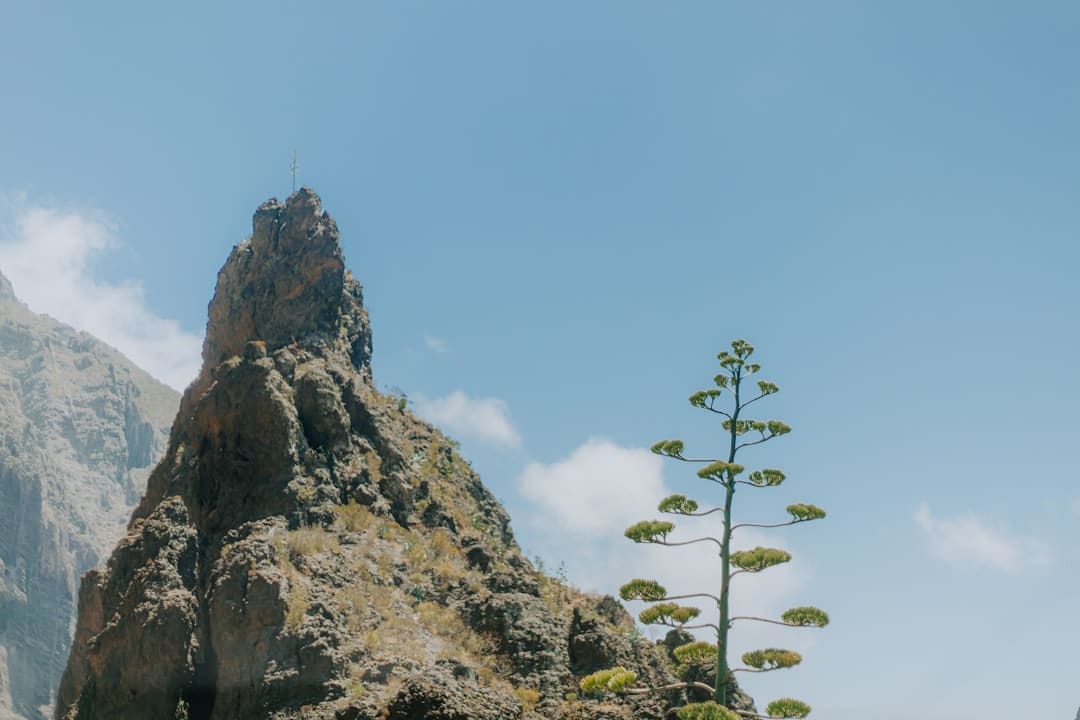 漳浦：告别排长龙 “潮汐窗口”高效灵活